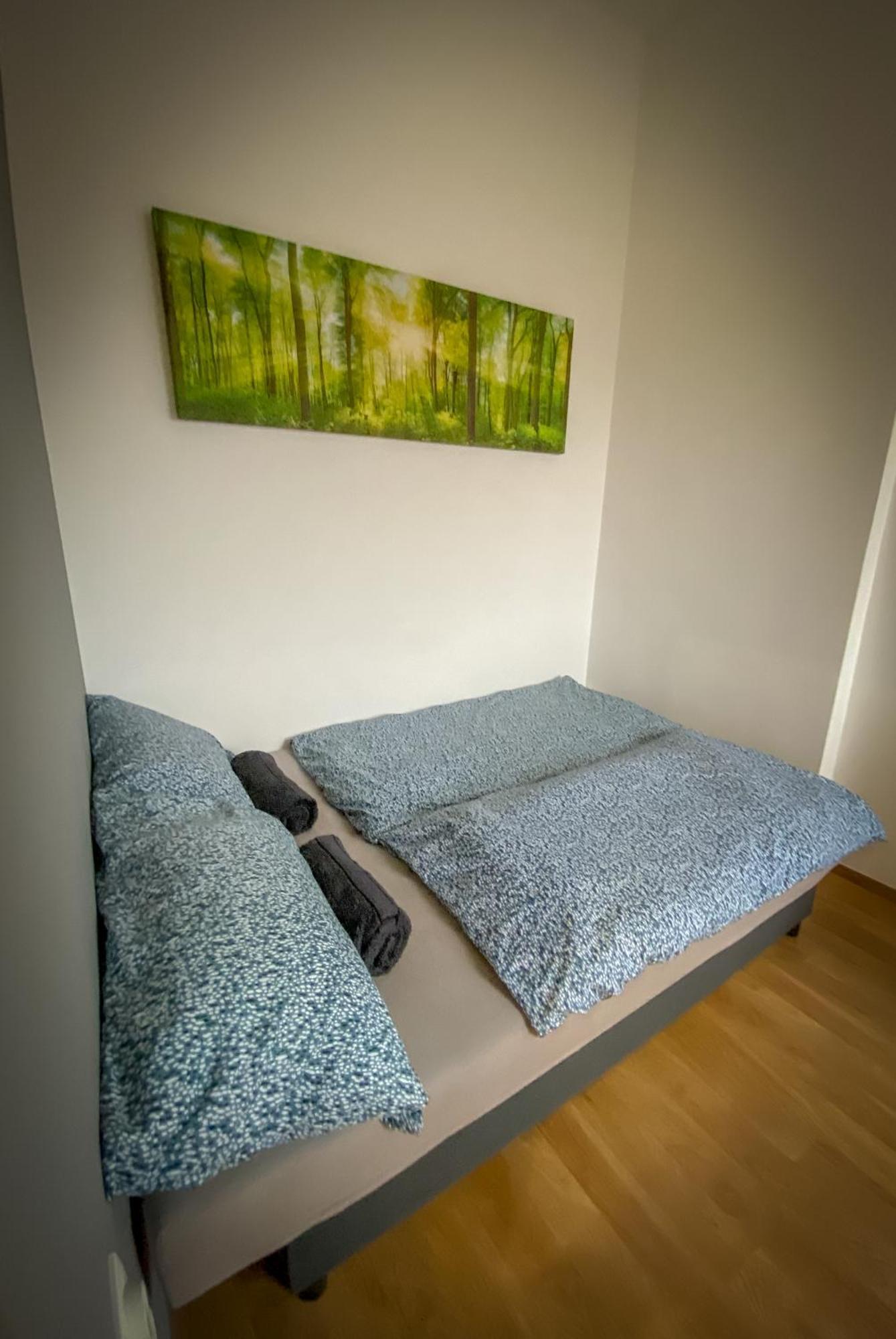 Lovely Central Apartment With Free Parking, Koezponthoz Koezeli 3 Szobas Lakas Γκιόρ Εξωτερικό φωτογραφία